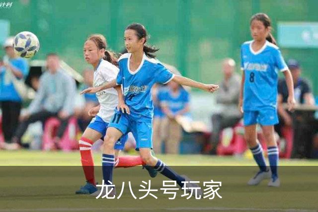 关于龙八头号玩家